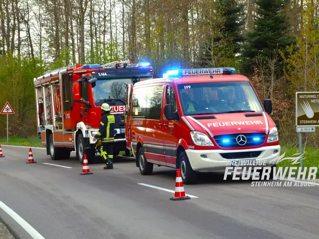 Mit zehn Einsatzkräfte und mit zwei Fahrzeugen war am Donnerstagnachmittag die Feuerwehr Steinheim im Einsatz.