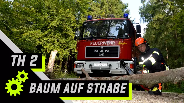 Symbolbild der Feuerwehr für das Stichwort "Baum auf Straße".